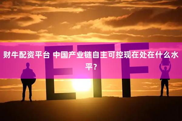 財牛配資平臺 中國產業鏈自主可控現在處在什么水平？