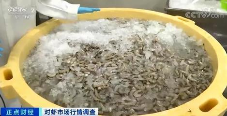 這種海鮮賣爆了！價格竟然腰斬！你買過了嗎？