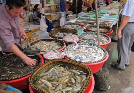 水產品放心吃！多地市場核酸檢測陰性，安全有保障